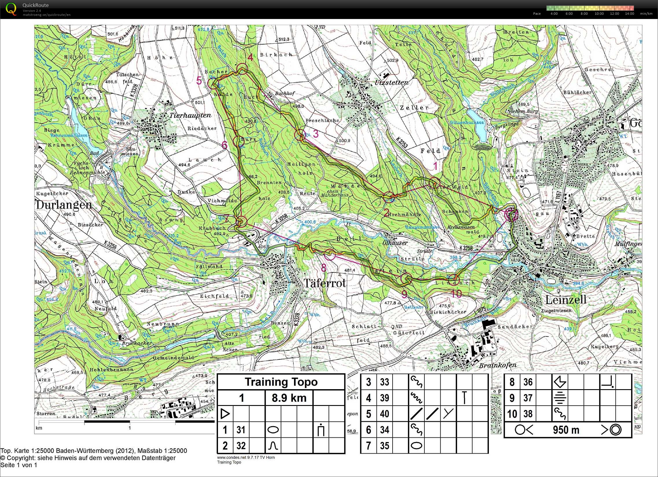 Topo map (10.02.2019)