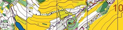 Reduced map training