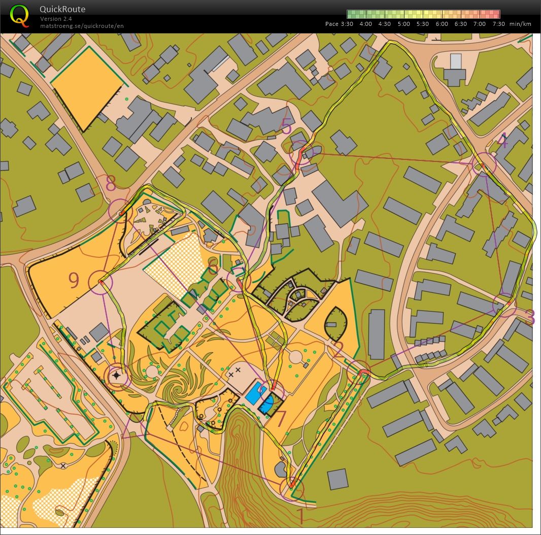 Sprint Training 3 (03/02/2026)
