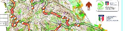 ARGE-Alp Individual (11.10.2026)