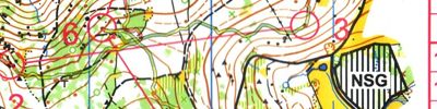 Regional middle distance champs - Hinterzarten