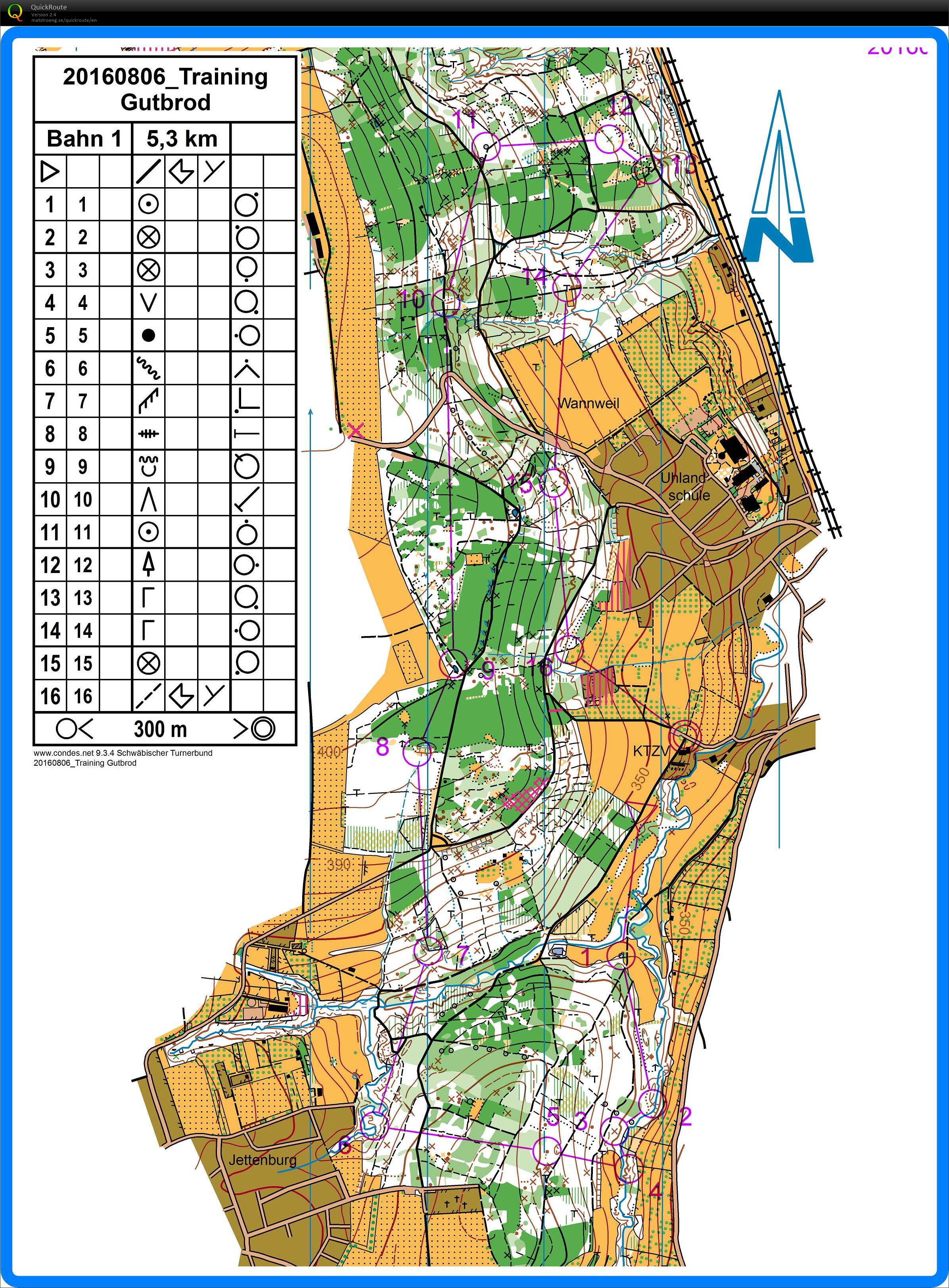 Training Wannweil (shadow) (2016-08-06)