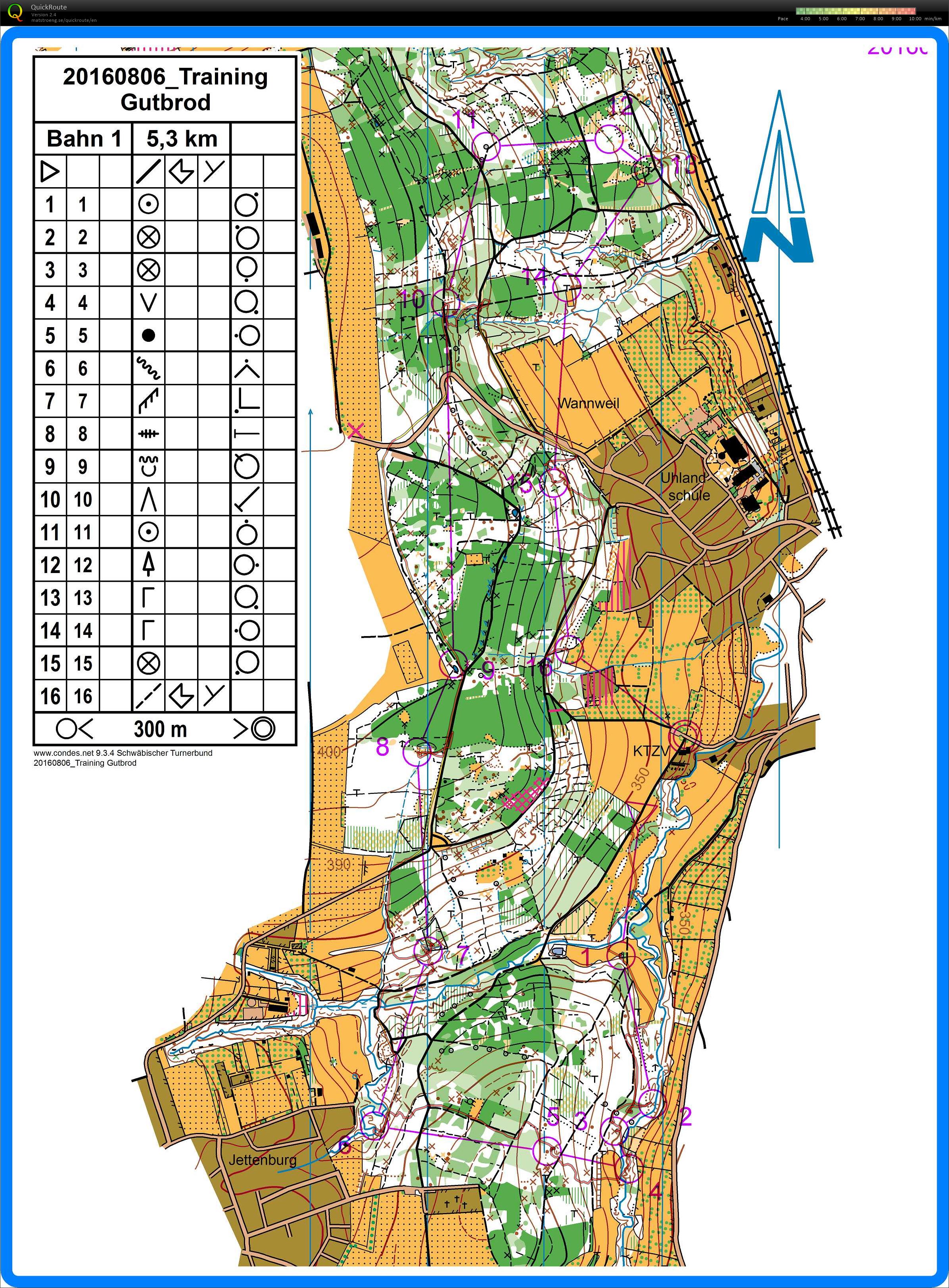 Training Wannweil (shadow) (06/08/2016)