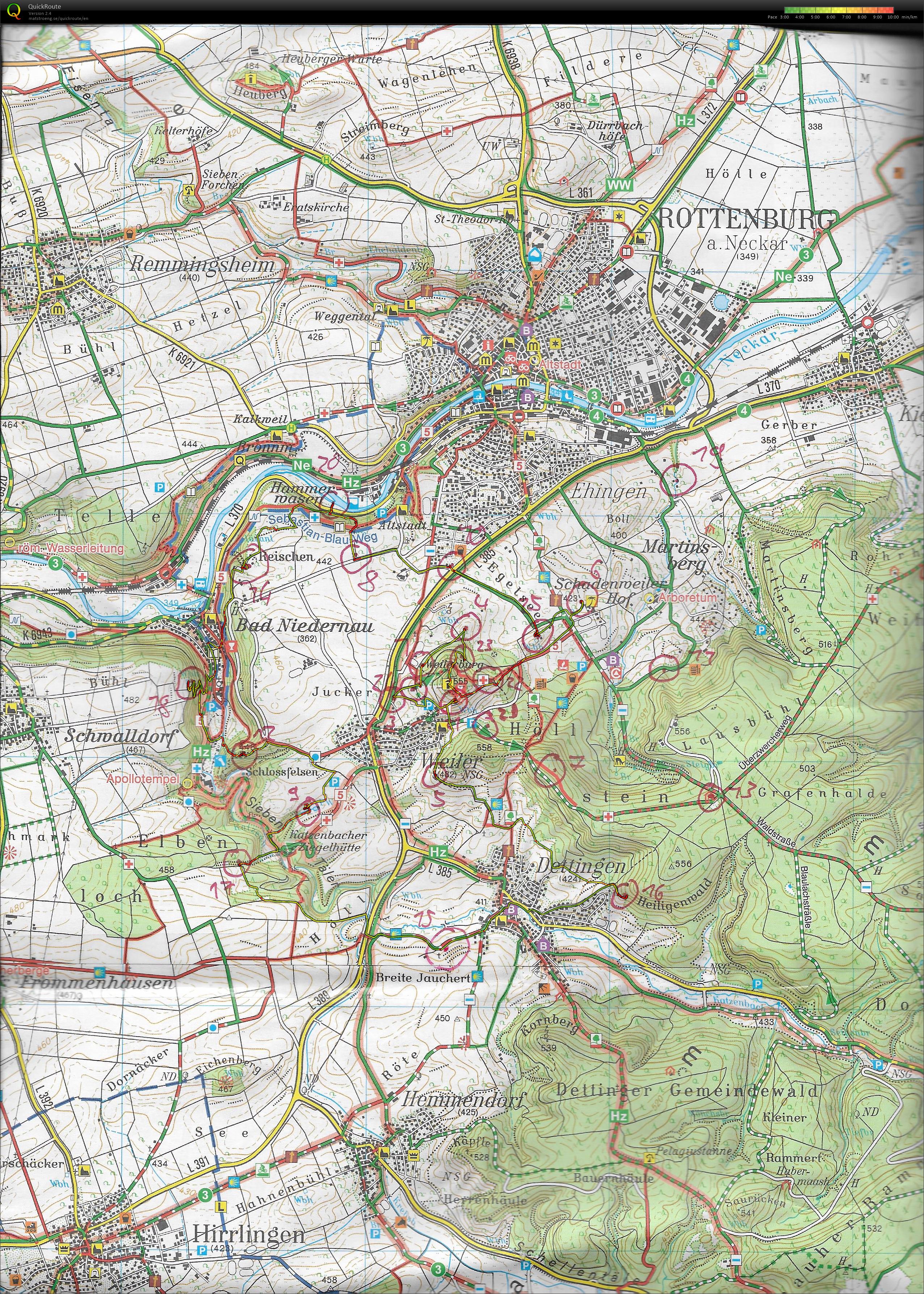 12. Rottenburger Rammert Run (19-11-2017)